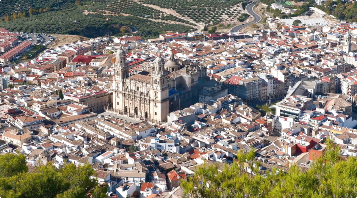 Wat zijn de populairste voertuigkeuzes in Jaen?